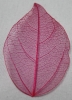 Preview: Leaves dried pink
