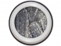 Preview: BET06 Silver Shadow