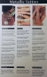 Preview: Body Tattoo, Ketten, Federn 1 Bogen