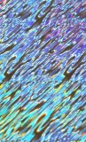Chrome Folie, Splash Silver