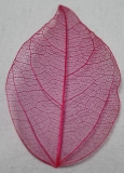 Leaves dried pink
