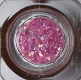 12 pcs. High Gloss Nail Powder