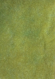 Glitter Paper, grün