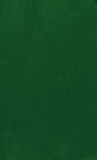 Chrome Folie, Green