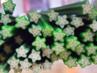 Soft Ceramic bar Fruits Star Fruit green clear