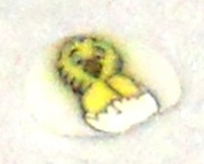 Soft Ceramic bar Chick in the egg