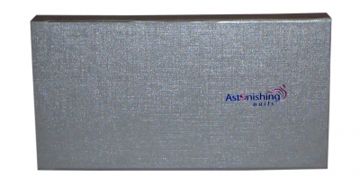 Design Brush Set Astonishing nails 7 Stk.