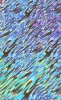 Chrome Folie, Splash Silver
