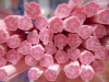 Fimo Stange Blumen Hibiskus rosa