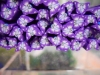Fimo Stange Schmetterling lilaweiss