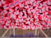 Fimo Stange Schmetterling pinkweiss