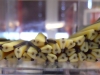 Fimo Stange Früchte Birne