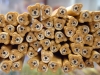 Fimo Stange Teddy