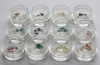 Shell Pattern-1, Snail, 12 pcs
