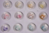 Shell Pattern, assorted, 12 pcs