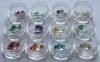 Shell Pattern-2, Flowers, 12 pcs